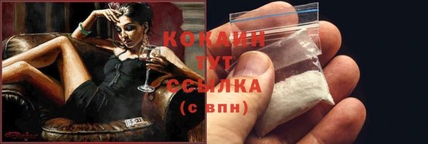 ГАЛЛЮЦИНОГЕННЫЕ ГРИБЫ Арсеньев