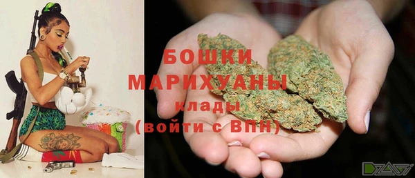 ГАЛЛЮЦИНОГЕННЫЕ ГРИБЫ Арсеньев